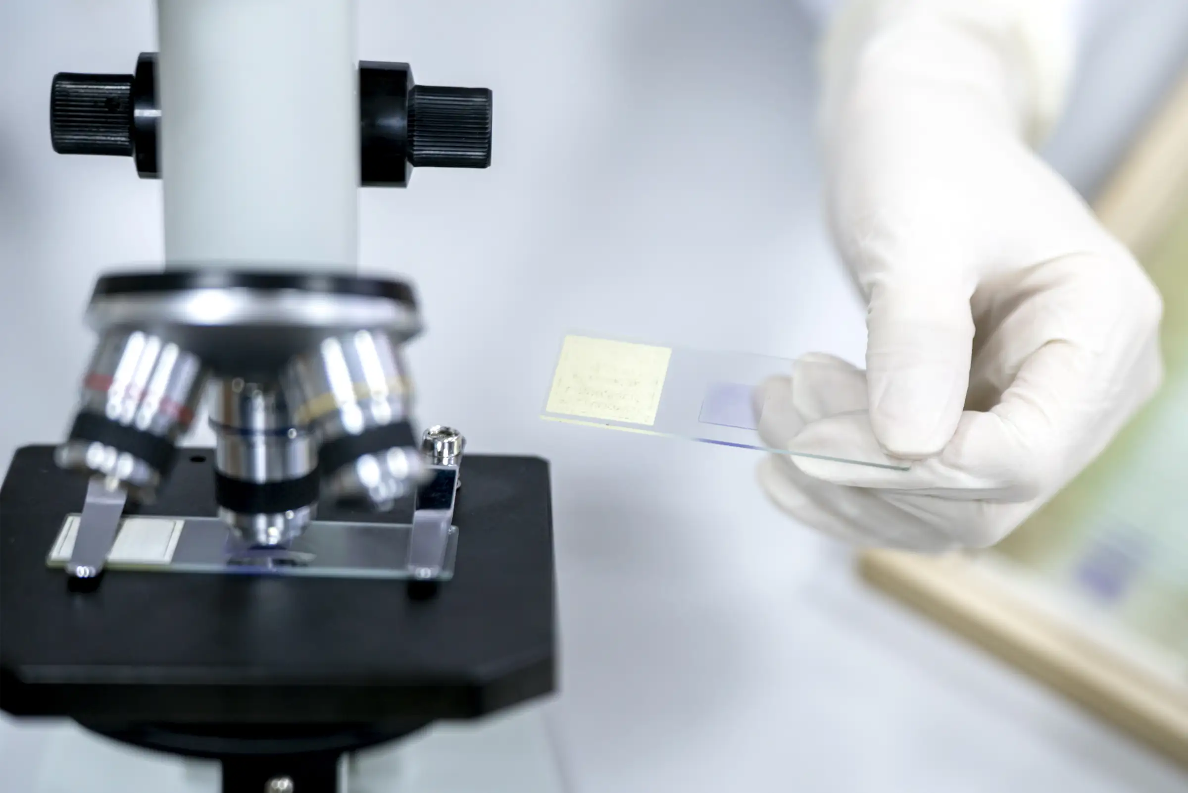 Mano guantata che sistema un vetrino sotto il microscopio